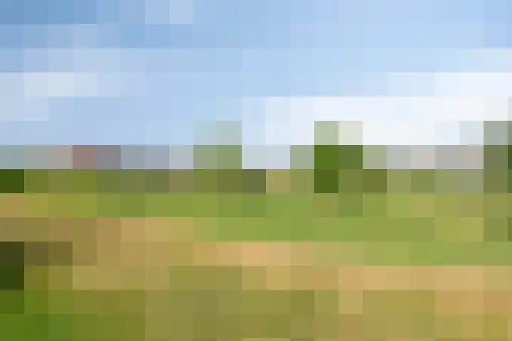 Mommersdonk 26 Helmond thumbnail 35