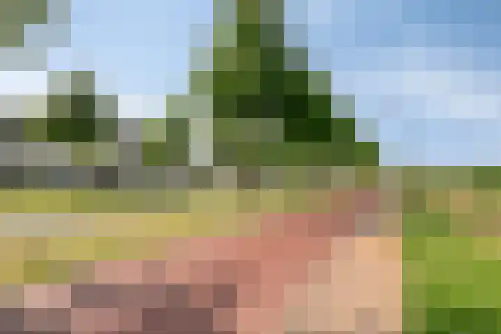 Mommersdonk 26 Helmond thumbnail 36
