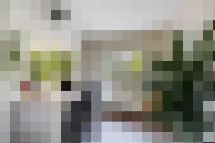 Mommersstraat 10 Hoeven thumbnail 15