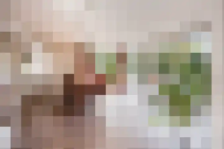 Mommersstraat 10 Hoeven thumbnail 17