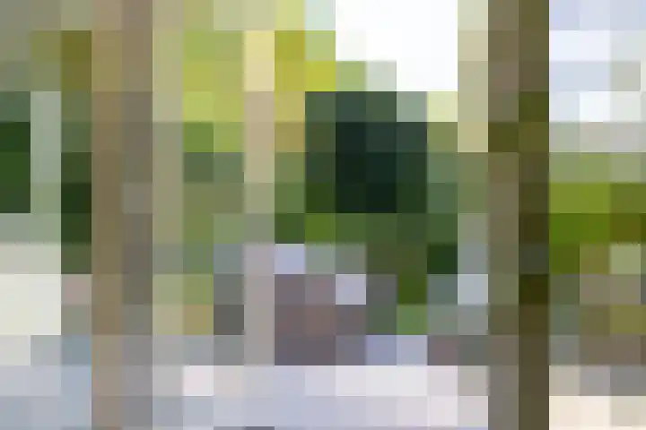 Mommersstraat 10 Hoeven thumbnail 18