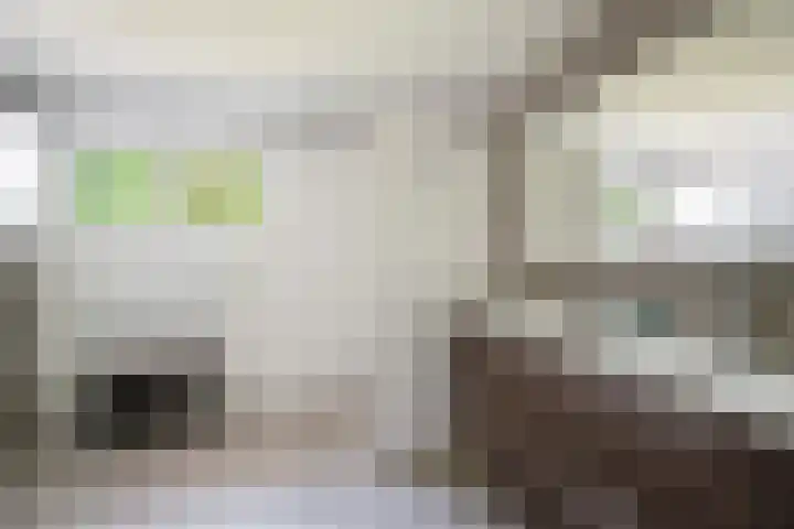 Mommersstraat 10 Hoeven thumbnail 32
