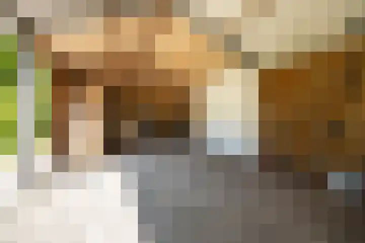 Mommersstraat 10 Hoeven thumbnail 36
