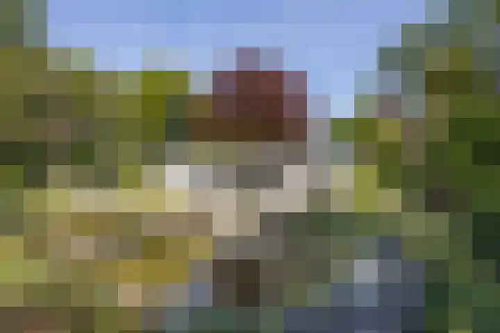 Mommersstraat 10 Hoeven thumbnail 47