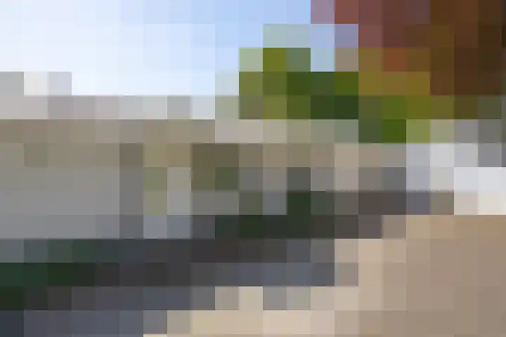 Mommersstraat 10 Hoeven thumbnail 5