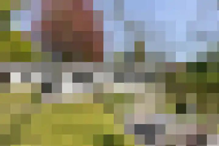 Mommersstraat 10 Hoeven thumbnail 51