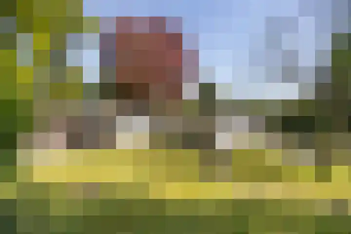 Mommersstraat 10 Hoeven thumbnail 52