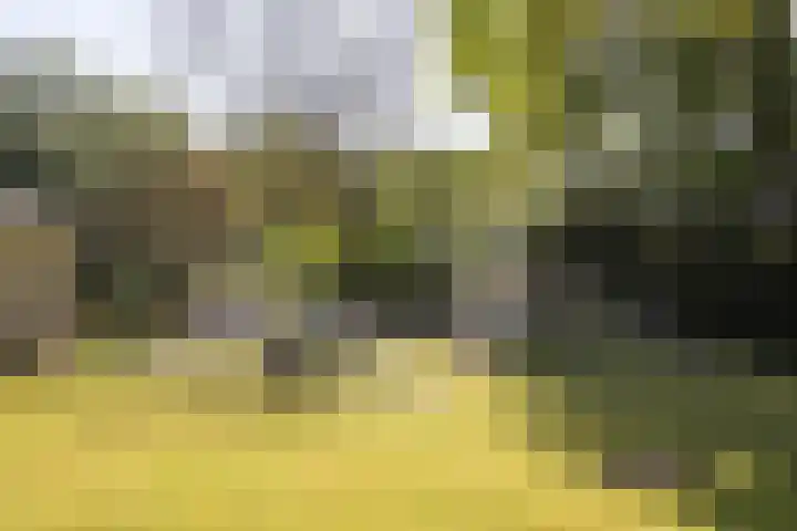 Mommersstraat 10 Hoeven thumbnail 56