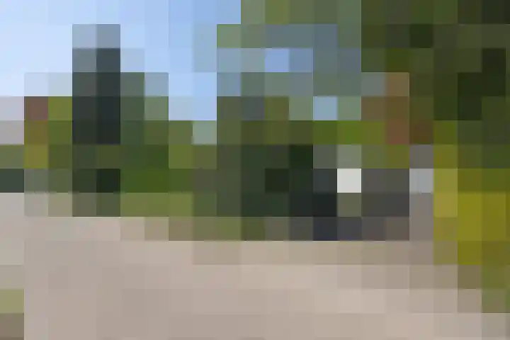 Mommersstraat 10 Hoeven thumbnail 57