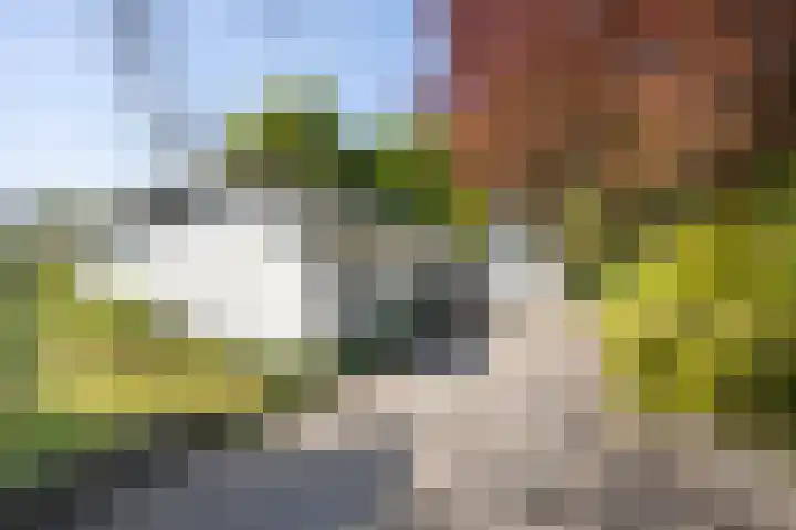 Mommersstraat 10 Hoeven thumbnail 59