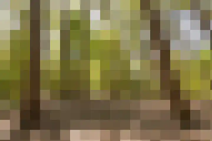 Mommersstraat 10 Hoeven thumbnail 61