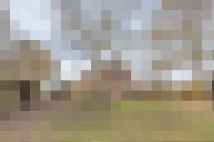Mommersteeg 102 A Haarsteeg thumbnail 35