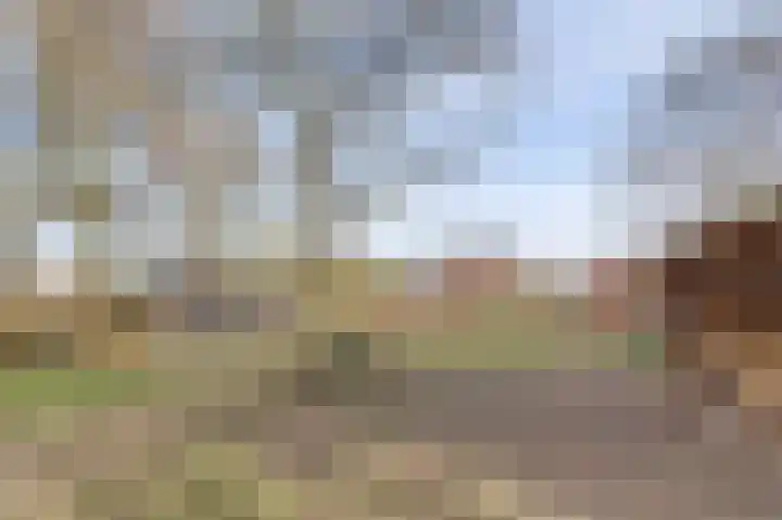 Mommersteeg 102 A Haarsteeg thumbnail 36