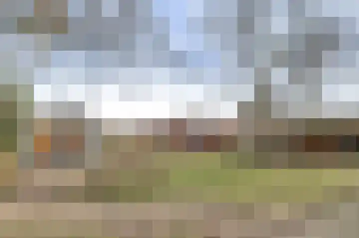 Mommersteeg 102 A Haarsteeg thumbnail 37