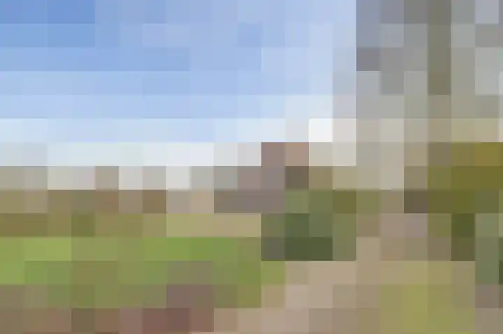 Mommersteeg 102 A Haarsteeg thumbnail 39