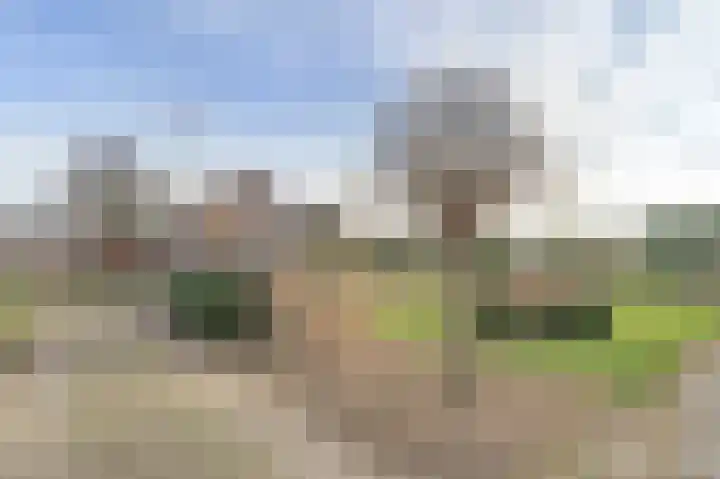 Mommersteeg 102 A Haarsteeg thumbnail 40