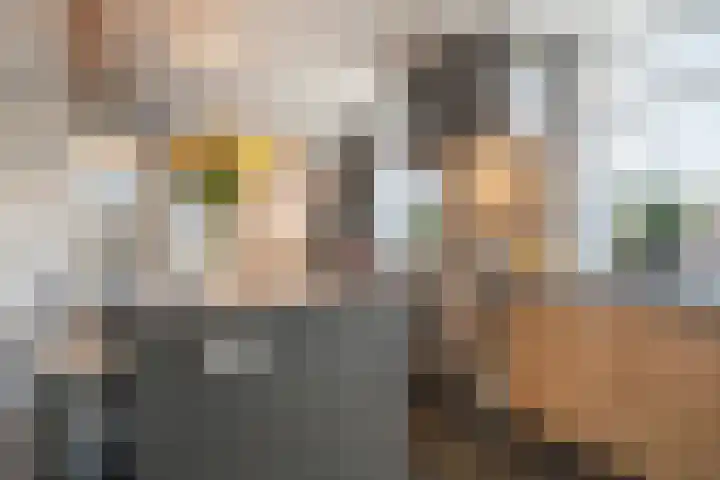 Mommersteeg 102 A Haarsteeg thumbnail 9
