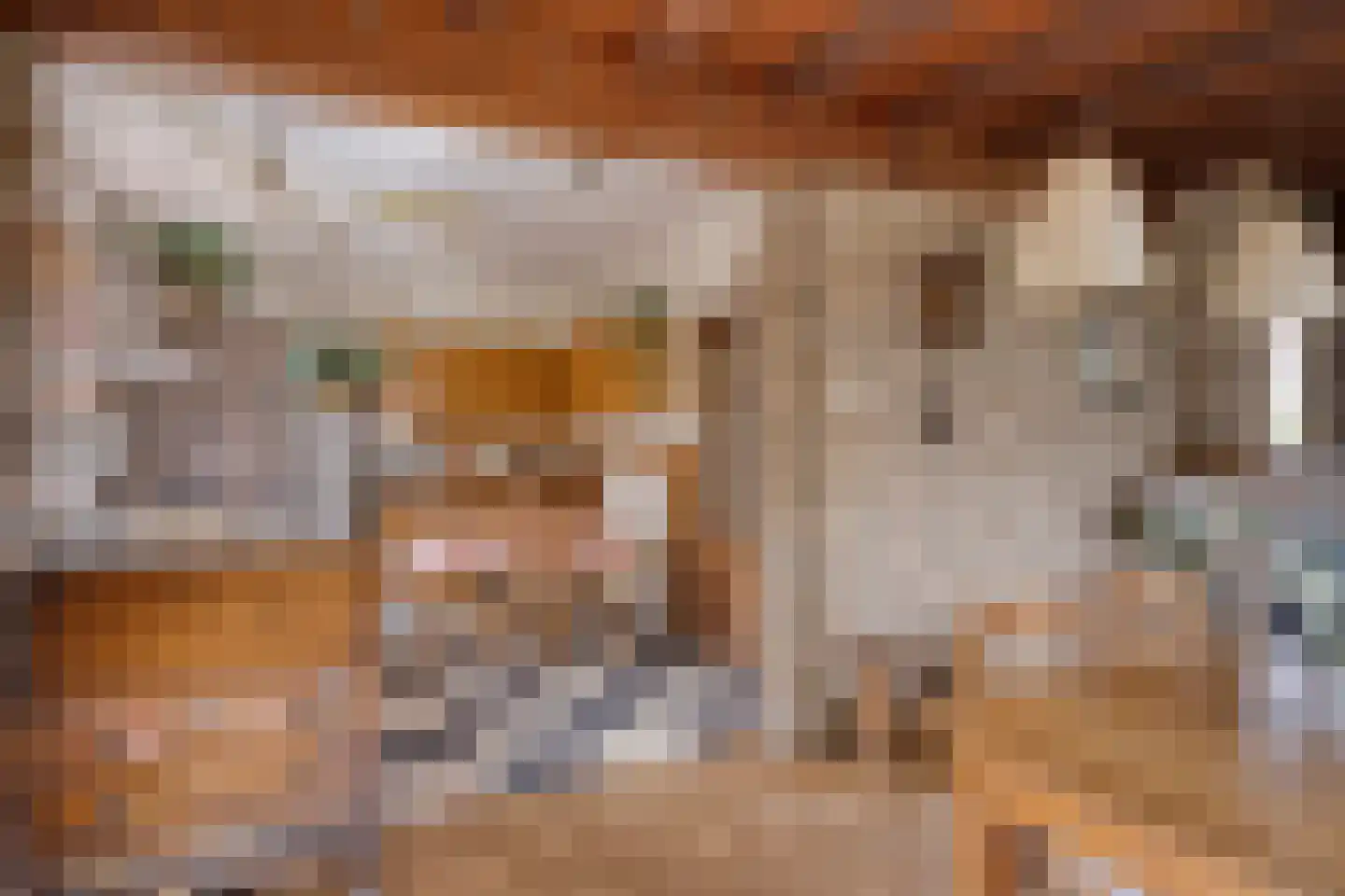 Mommersteeg 15 A Haarsteeg thumbnail 11
