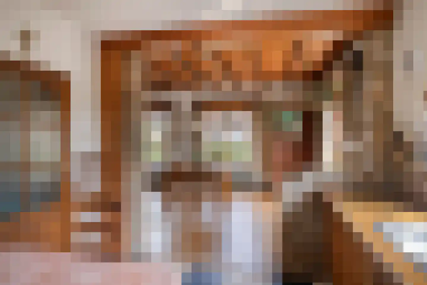 Mommersteeg 15 A Haarsteeg thumbnail 14