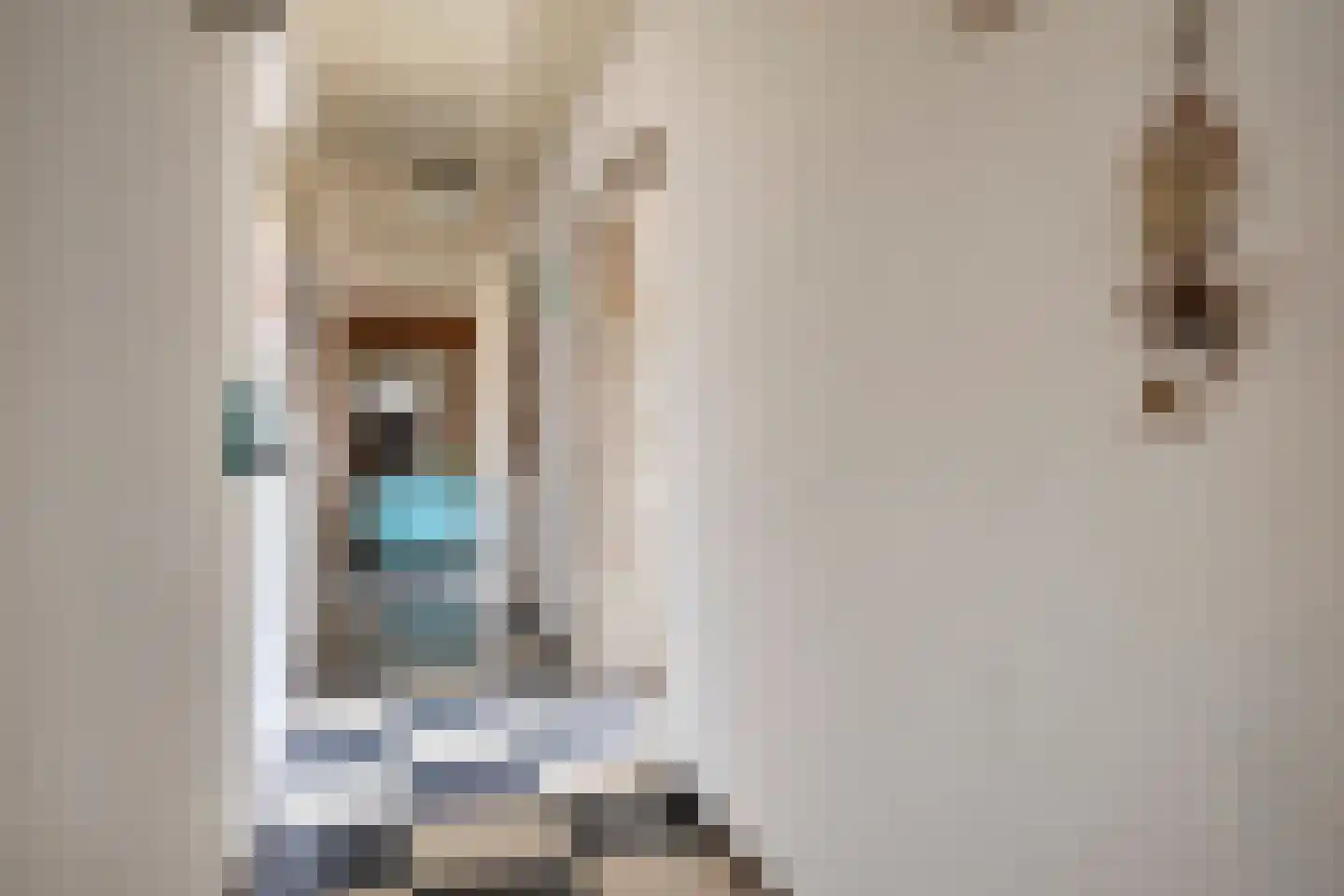Mommersteeg 15 A Haarsteeg thumbnail 18