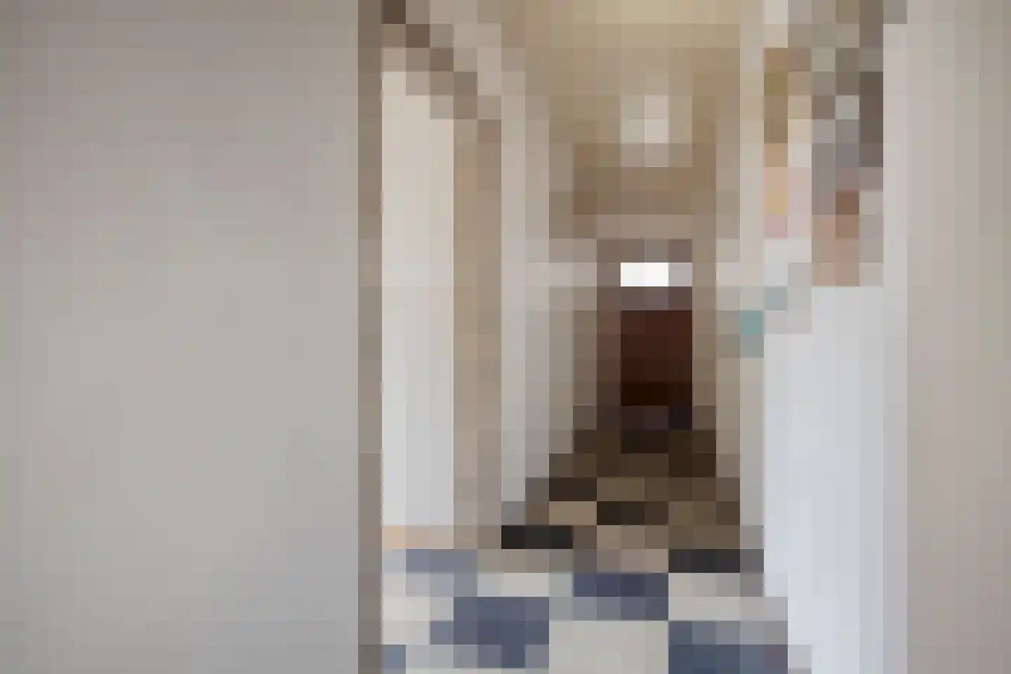 Mommersteeg 15 A Haarsteeg thumbnail 21