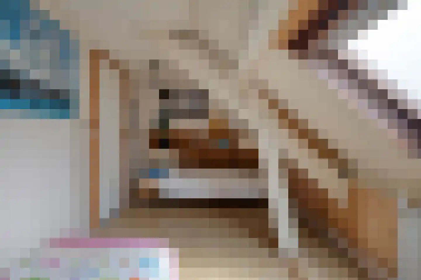 Mommersteeg 15 A Haarsteeg thumbnail 35