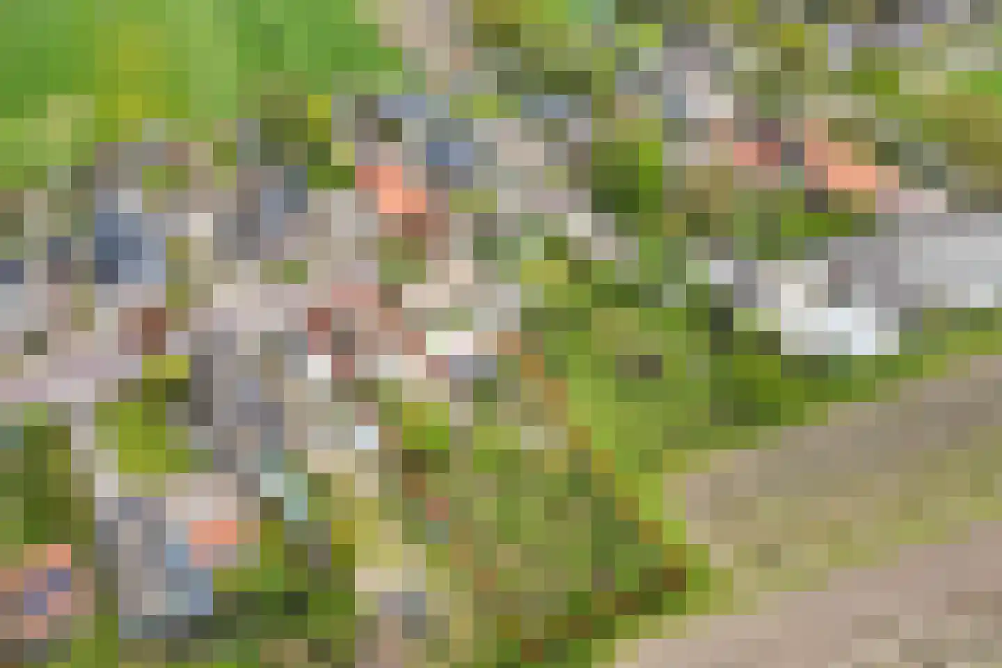 Mommersteeg 15 A Haarsteeg thumbnail 4