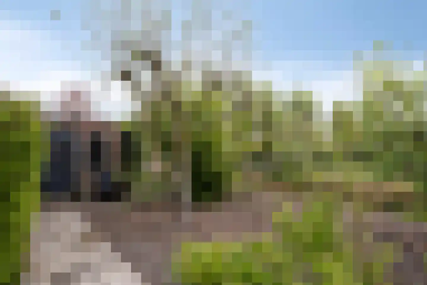 Mommersteeg 15 A Haarsteeg thumbnail 46