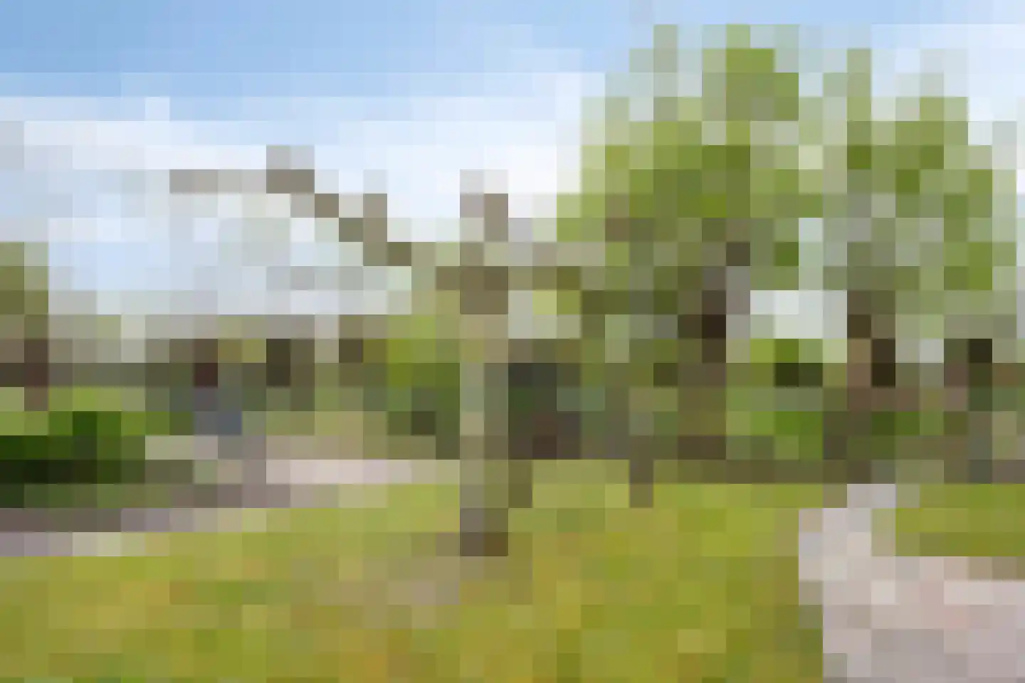 Mommersteeg 15 A Haarsteeg thumbnail 47