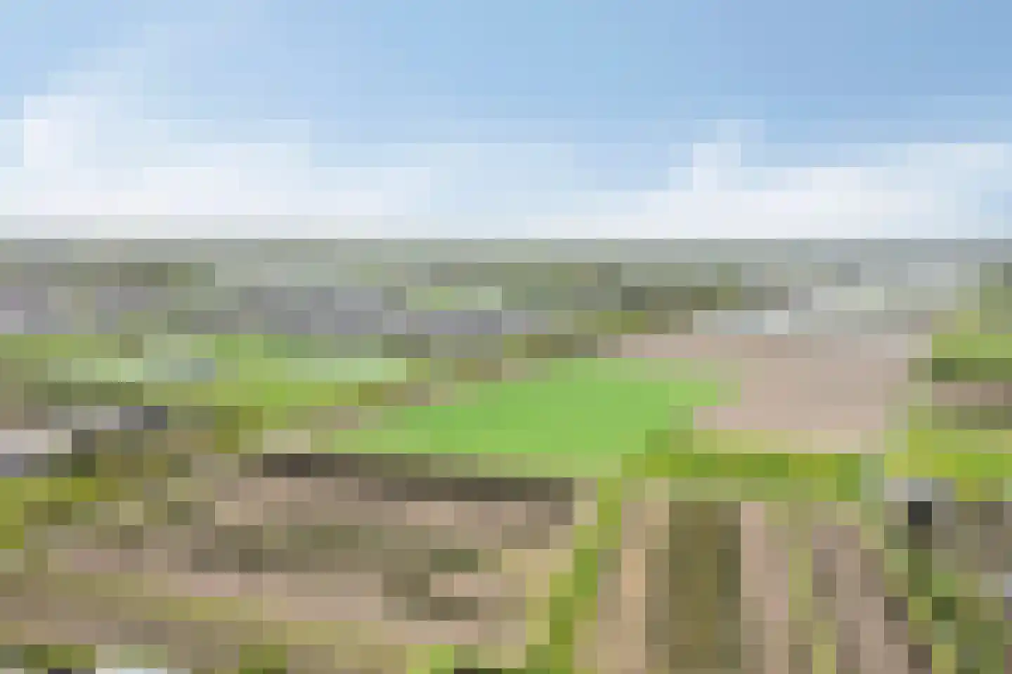 Mommersteeg 15 A Haarsteeg thumbnail 49