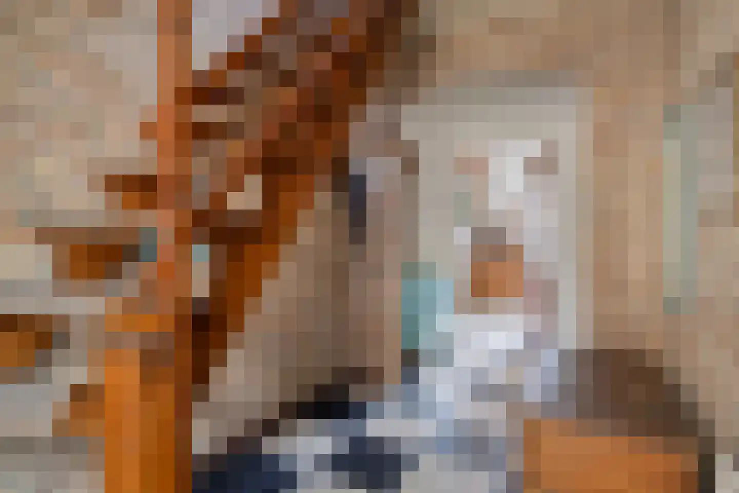 Mommersteeg 15 A Haarsteeg thumbnail 5