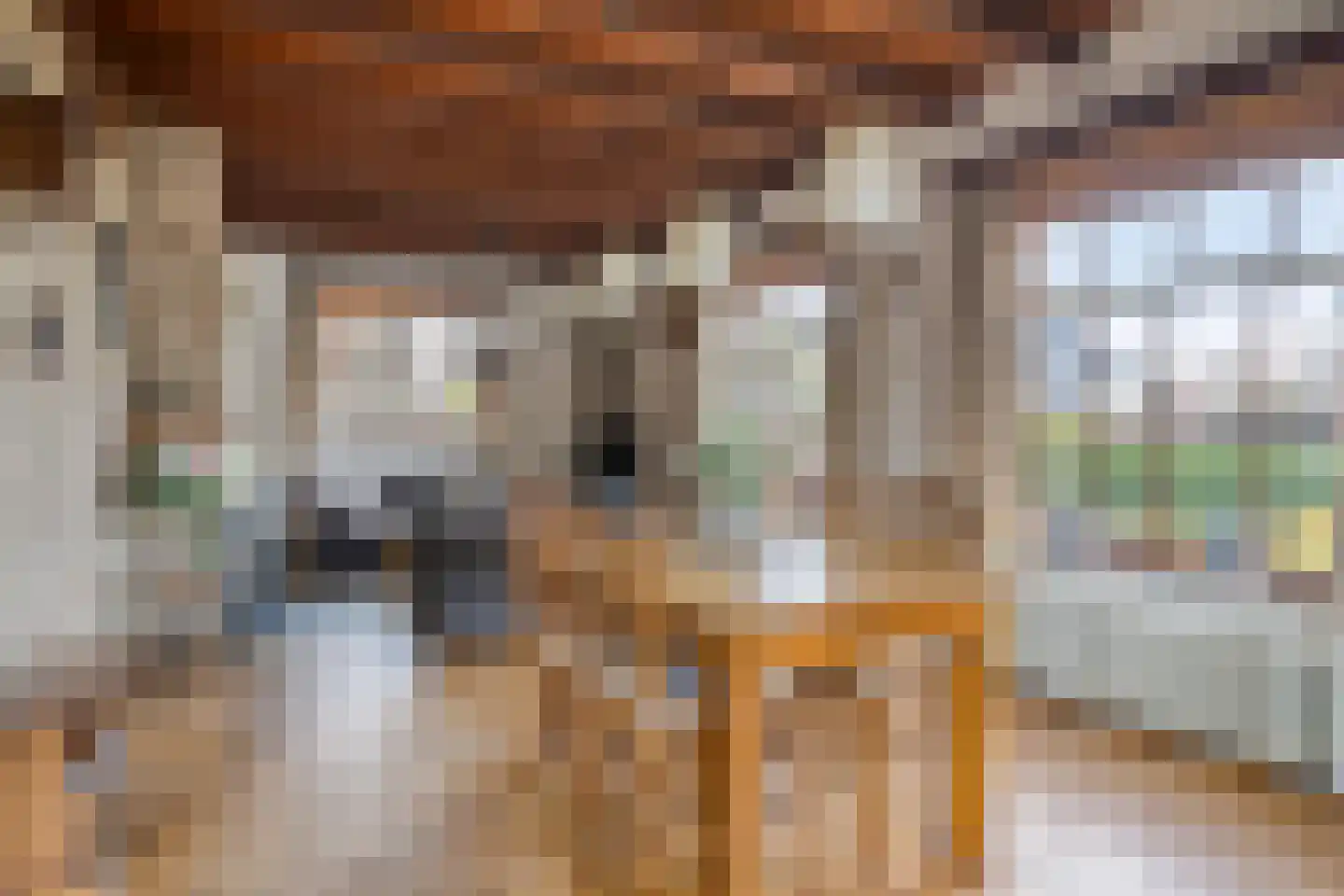 Mommersteeg 15 A Haarsteeg thumbnail 6