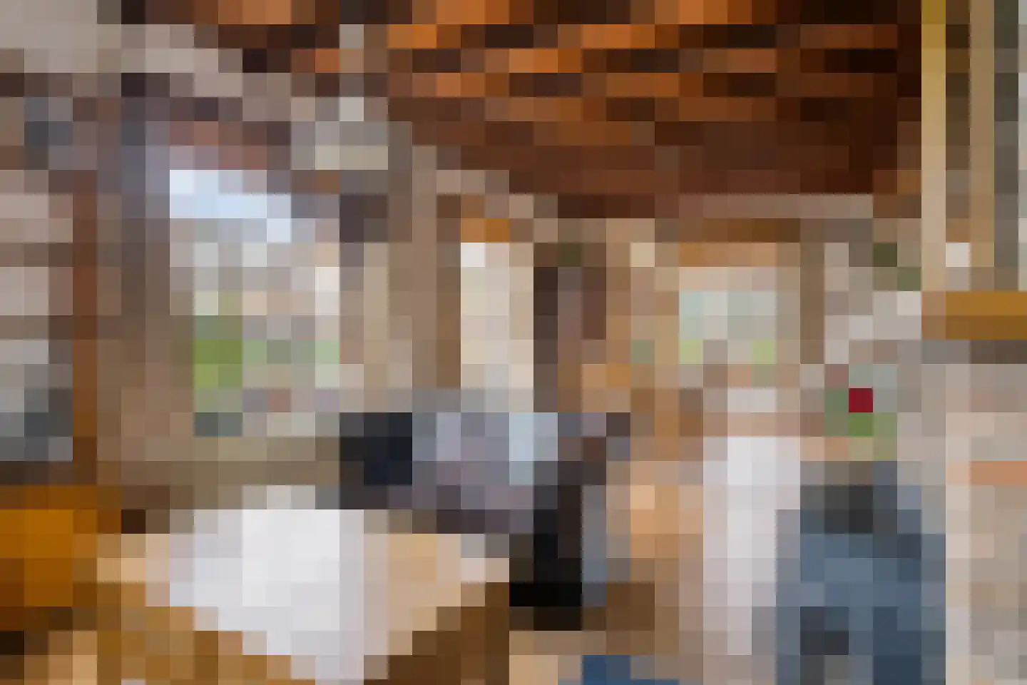 Mommersteeg 15 A Haarsteeg thumbnail 9
