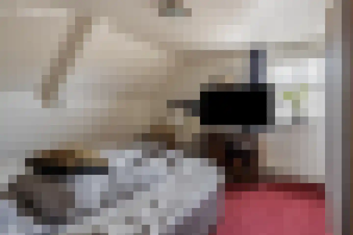 Mommersteeg 66 Haarsteeg thumbnail 14