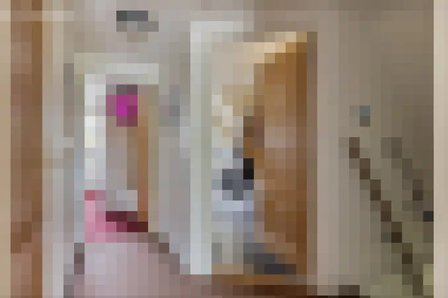 Mommersteeg 66 Haarsteeg thumbnail 16