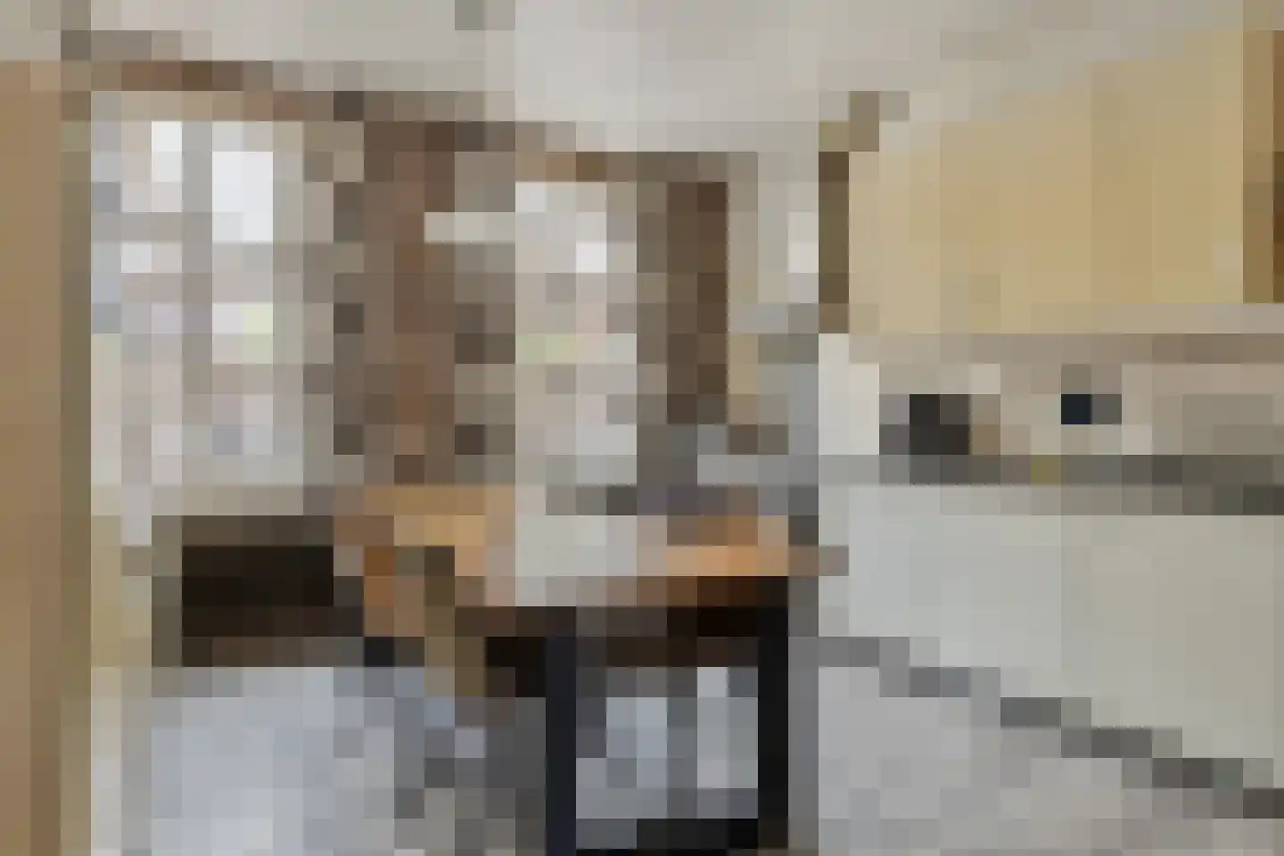 Mommersteeg 66 Haarsteeg thumbnail 22
