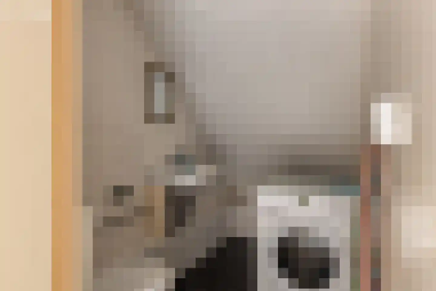 Mommersteeg 66 Haarsteeg thumbnail 29