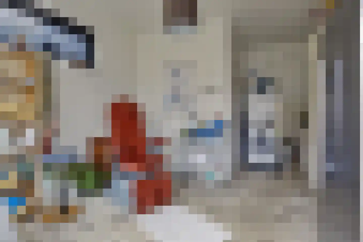 Mommersteeg 66 Haarsteeg thumbnail 32