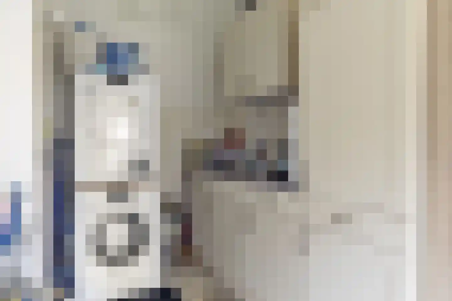 Mommersteeg 66 Haarsteeg thumbnail 34