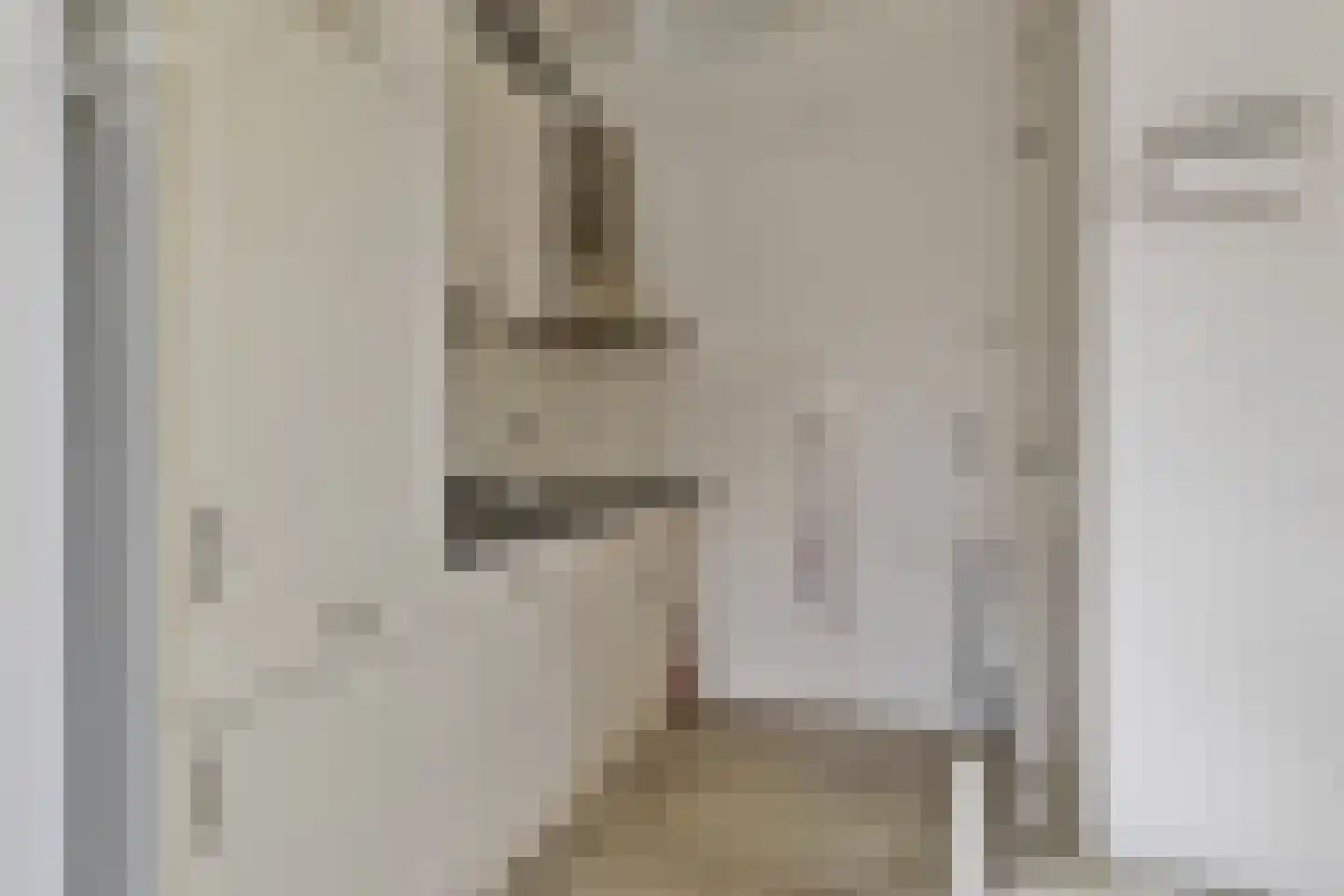 Mommersteeg 66 Haarsteeg thumbnail 38