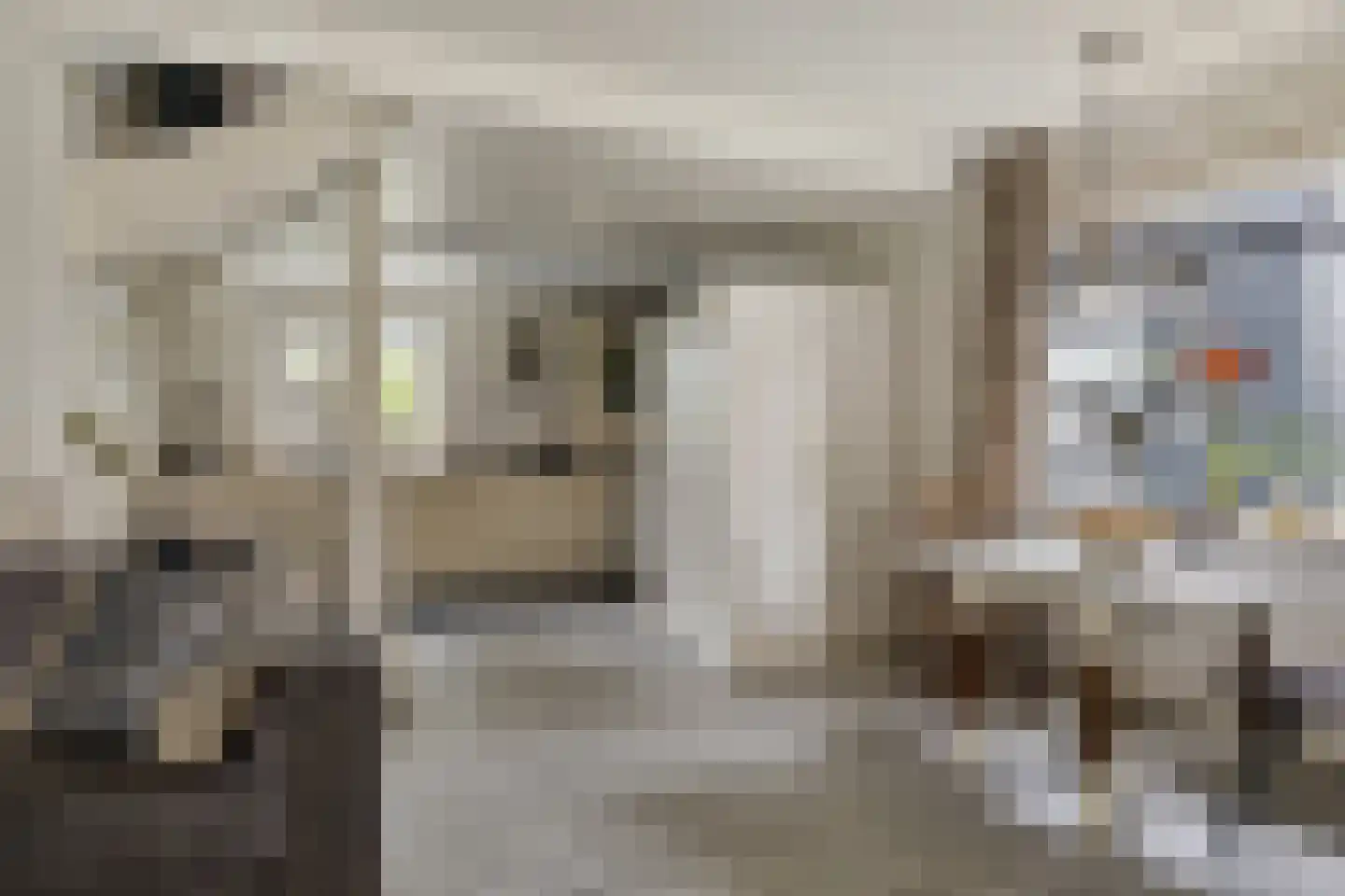 Mommersteeg 66 Haarsteeg thumbnail 41