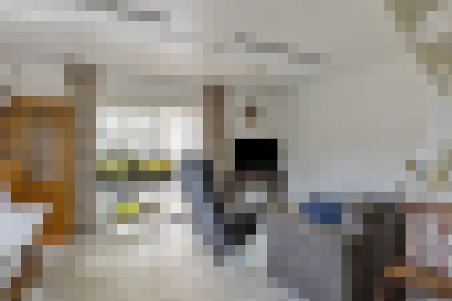 Mommersteeg 66 Haarsteeg thumbnail 42
