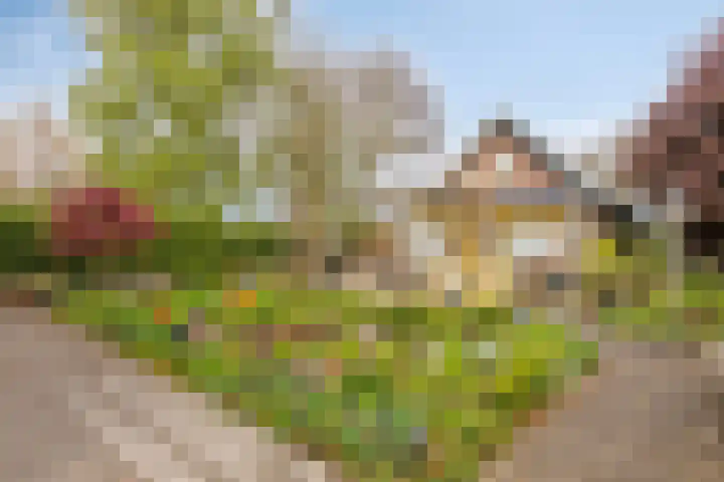 Mommersteeg 66 Haarsteeg thumbnail 50
