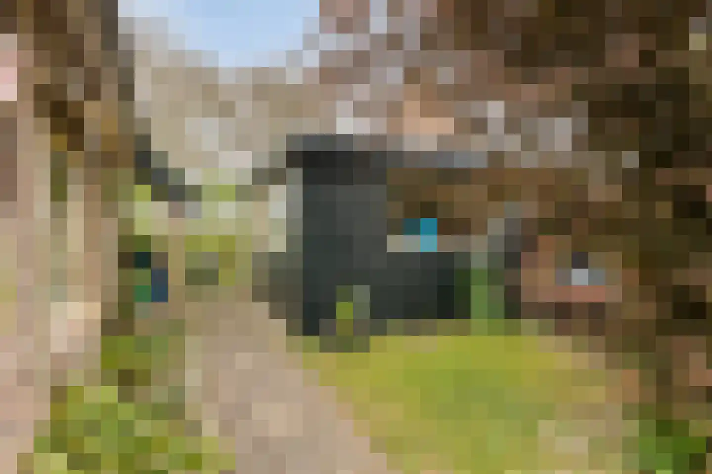 Mommersteeg 66 Haarsteeg thumbnail 52