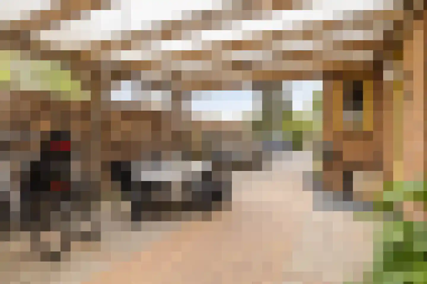 Mommersteeg 66 Haarsteeg thumbnail 54