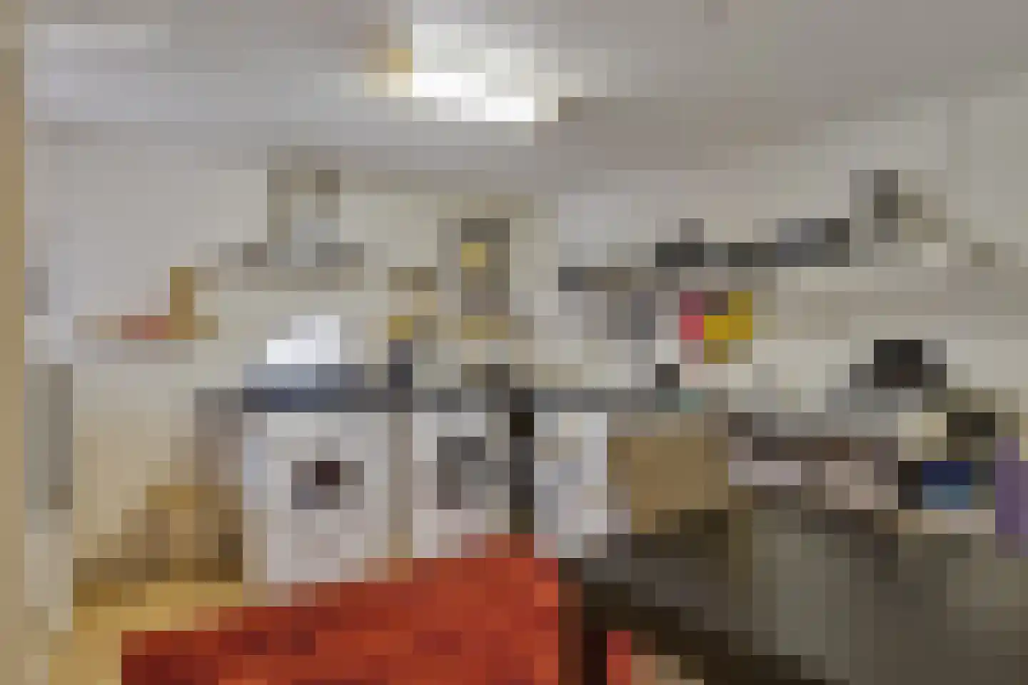 Mommersteeg 66 Haarsteeg thumbnail 7