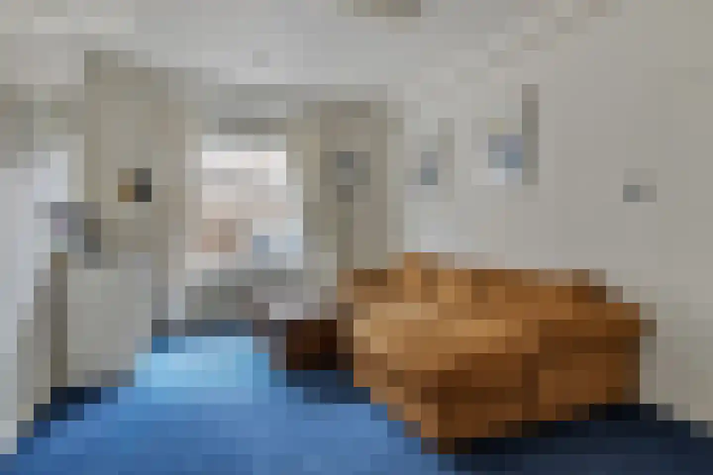 Mommersteeg 66 Haarsteeg thumbnail 8
