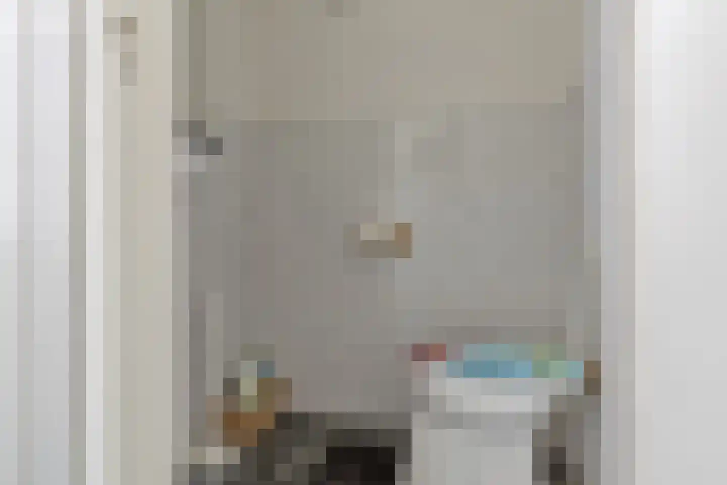 Mommersteeg 66 Haarsteeg thumbnail 9