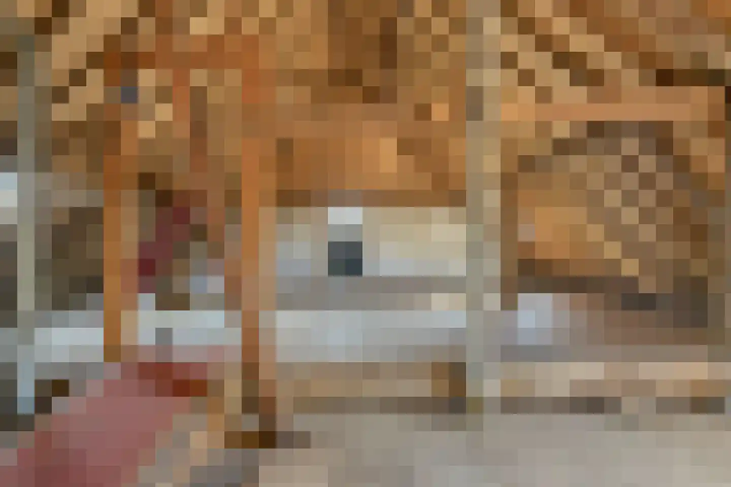 Mommersteeg 96 Haarsteeg thumbnail 31