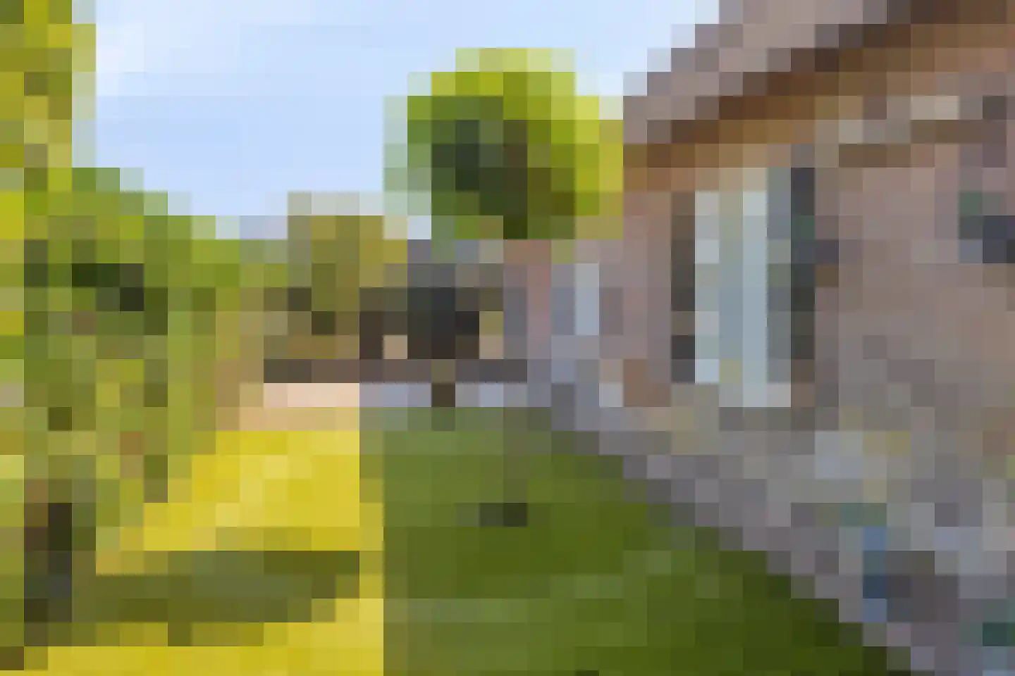 Mommersteeg 96 Haarsteeg thumbnail 5